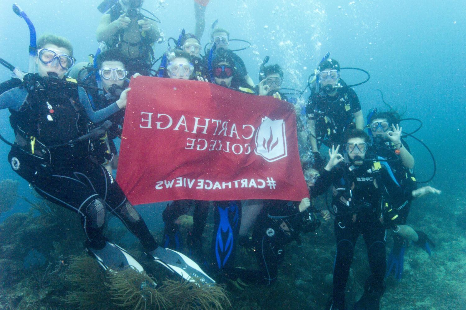 学生们手持<a href='http://ydo.hwanfei.com'>bv伟德ios下载</a>旗帜，在j学期洪都拉斯游学之旅中潜水.